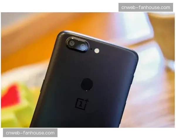 付费定制化分发终端在市场调整期内流行,满足了高端用户对超高比特率的极致追求